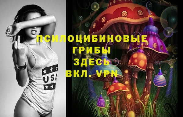 spice Арсеньев