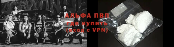 spice Арсеньев