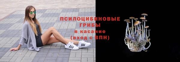 spice Арсеньев