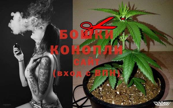 spice Арсеньев