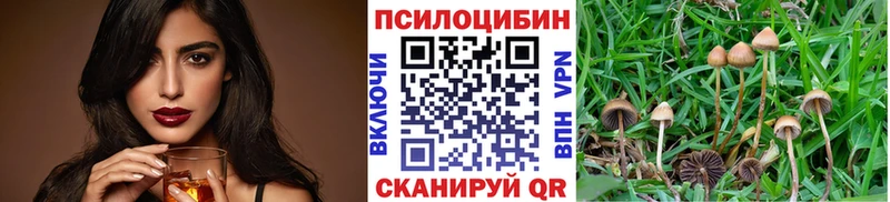 blacksprut как войти  наркотики  Поронайск  Псилоцибиновые грибы Magic Shrooms 